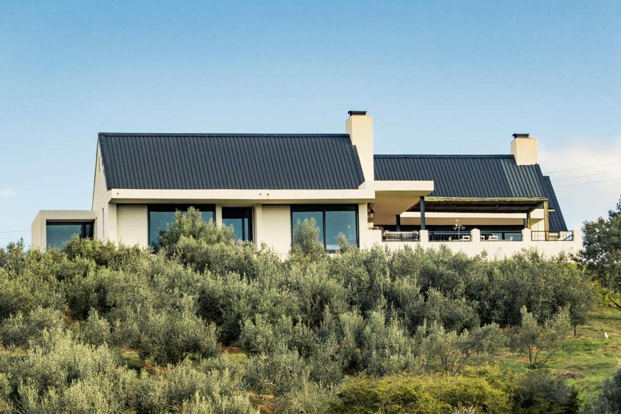فيلا Oudewerfskloof Olive Farm ستيلباي المظهر الخارجي الصورة